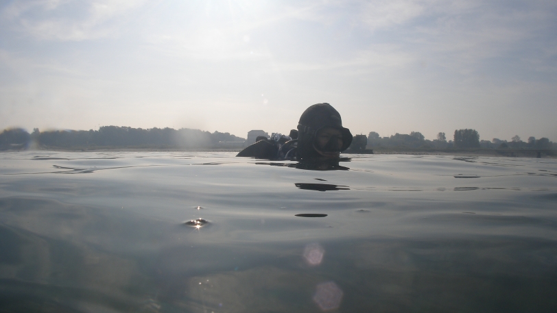 Diver at the water surface